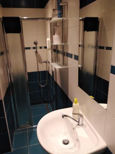 Penzion Iris Krkonoše Penzion Iris Krkonoše