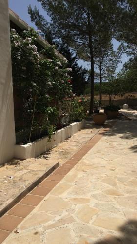 Viviendas Ferrer-Es Mal Pas - image 11