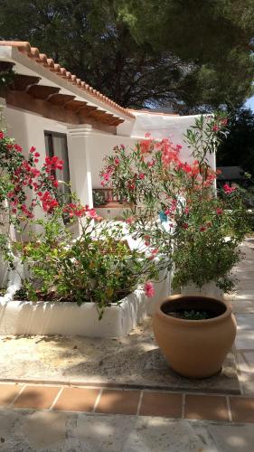 Viviendas Ferrer-Es Mal Pas - image 12