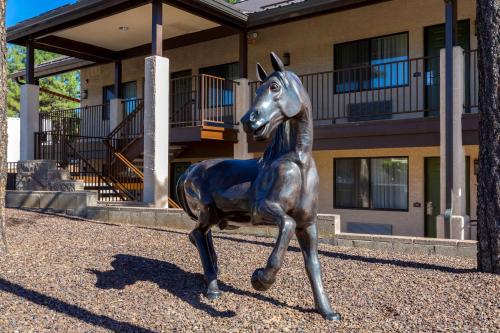 Best Western Paint Pony Lodge