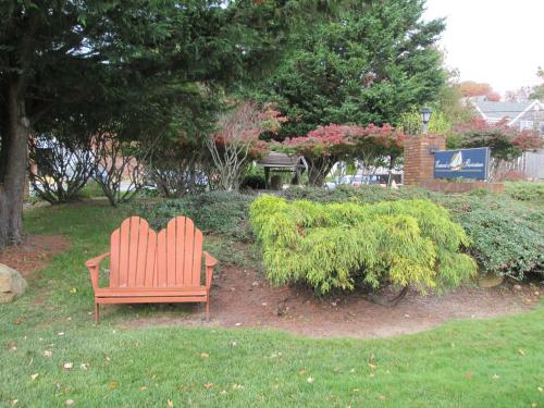 Eastwood at Provincetown - image 8