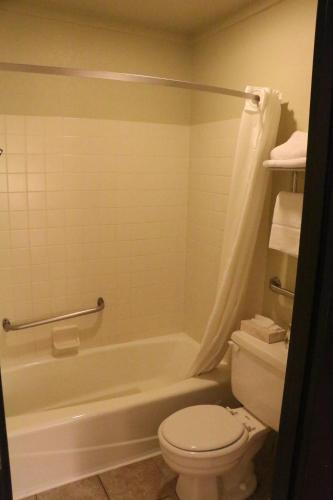 Super 8 by Wyndham Windsor/Madison North - image 10