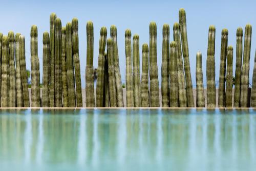 Hotel Boutique Casa Lulu