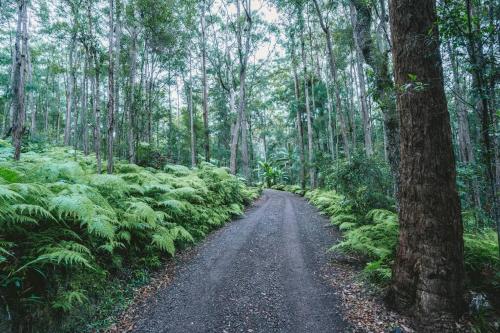 Secluded Retreat in Noosa Hinterland