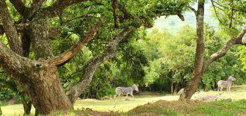 Wide Horizons Mountain Retreat Wide Horizons Mountain Retreat