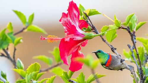 Wide Horizons Mountain Retreat Wide Horizons Mountain Retreat