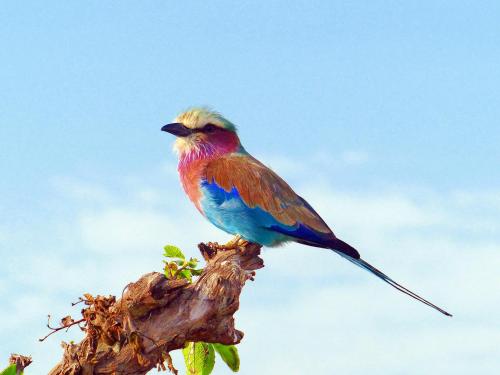 Wide Horizons Mountain Retreat Wide Horizons Mountain Retreat