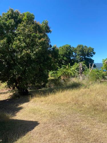 HÊCHÉLOGE (HECHELOGE) in 쿵구
