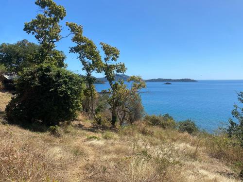HÊCHÉLOGE (HECHELOGE) in 쿵구
