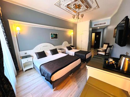 Gülhanepark Hotel & Spa, Istanbul (fotografie 4)