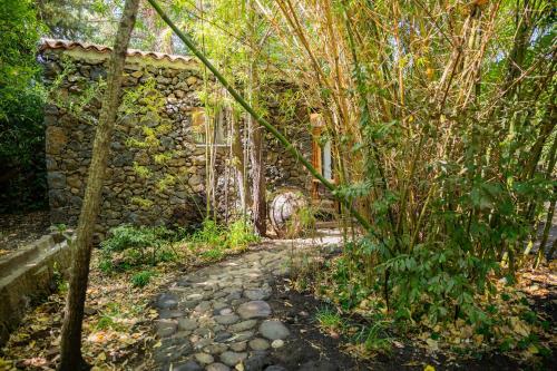 Etna Botanic Garden - image 3