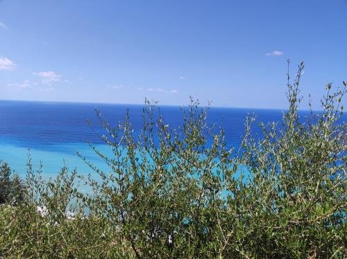  Nicoletta in Piraino