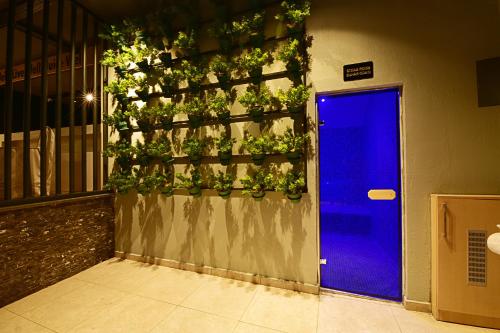 Jasmin Elite Residence - image 3