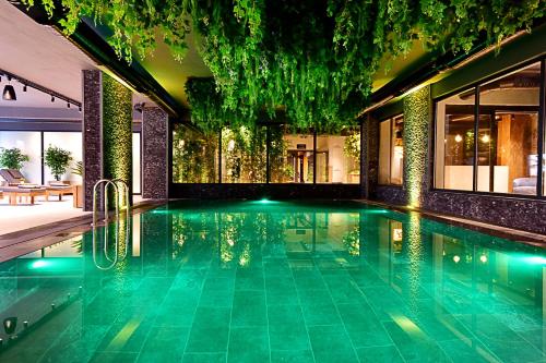 Jasmin Elite Residence - image 13