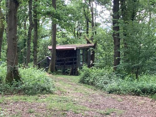 Unique off Grid Tree-House Stay in oak woodland