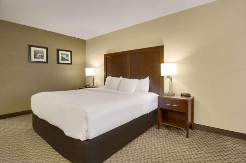 Comfort Inn Airport Roanoke