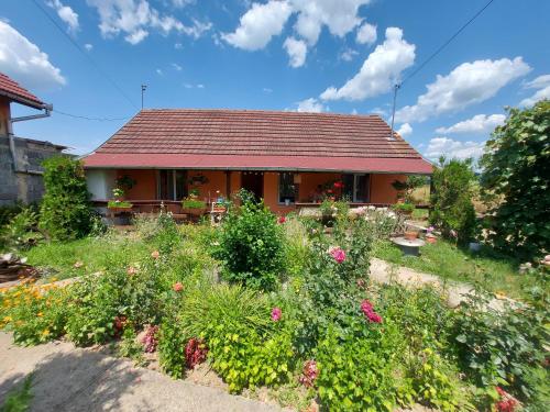 . Casa de vacanta in Tara Fagarasului