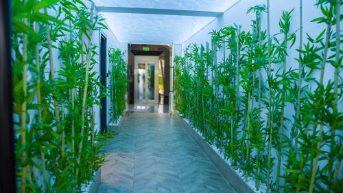 Emerald seaside residence at Four Seasons Emerald seaside residence at Four Seasons