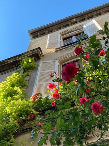 Cocooning Avignon - Chambre d'hôtes - Avignon