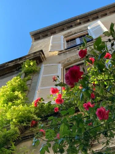 Cocooning Avignon photo 2
