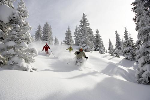 Modern 3 Bedroom Luxury Rental In Cascade Village With Shuttle To Vail Village And Lionshead in Vail, USA
