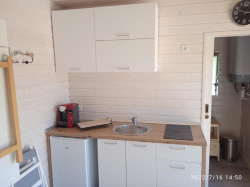 virtuve, Studio au fil de l'eau in Saint-Martin-sur-Ecaillon