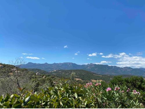 Villa rdc en plein cœur du maquis Corse