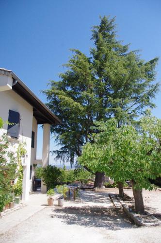 Le Grand Cèdre - 2 Chambres d'hôtes - Sud Ardèche