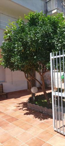 Casa Giulia chambre d'hôte Salemi