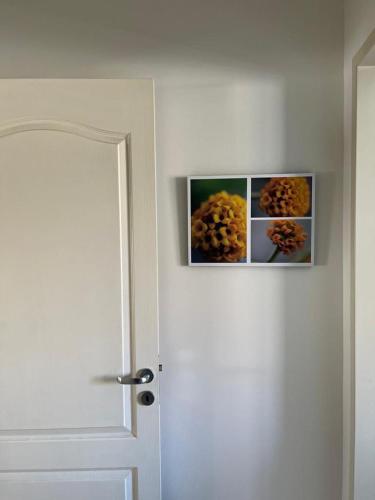 DULCE MORADA in Mendoza