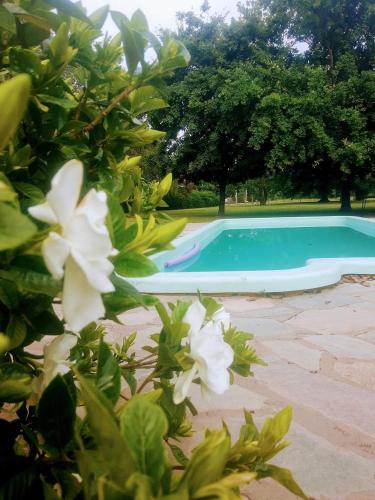 Swimming pool, Quinta La Alpina in Baradero