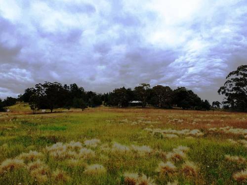 Eco - Relax and Unwind - Greenwich Park