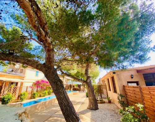 Finca Sa Canova Agroturismo in Campos