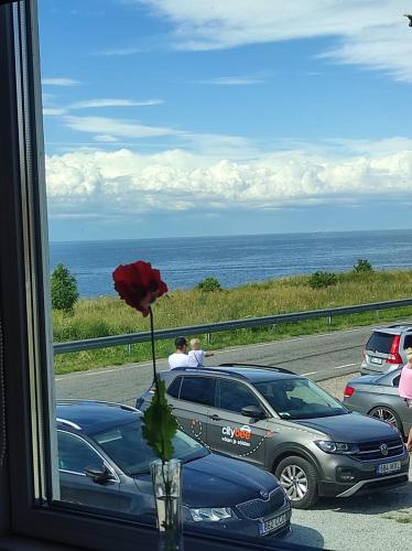 Pakri Parun Pakri Parun