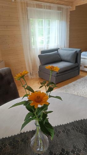 Rangi Suvemaja in Hiiumaa