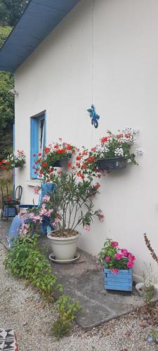 la petite maison bleue