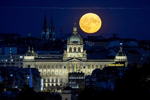 Valentina Apartments, Prague (photo 10)