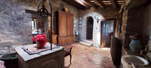 Castell de Llaes in Ripoll