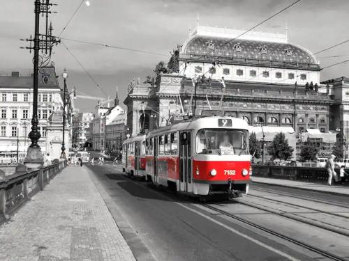 Ground Floor Apartment, Praga