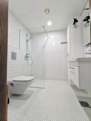 Scandian Apartments - City Centre Tallinn, Tallin (foto 9)
