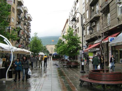 Tea's Apartment, Skopje City - Centre, Skopje (photo 11)