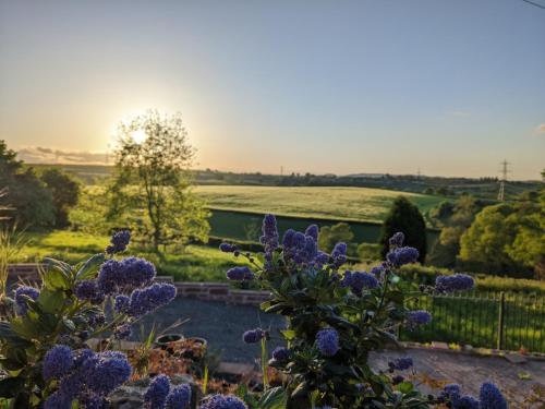 Thatch Close Cottages photo 3