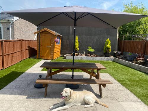 Gelli House gîte à louer Garnant