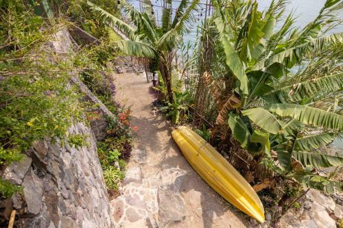 Beach, Baraka Atitlan in San Marcos La Laguna