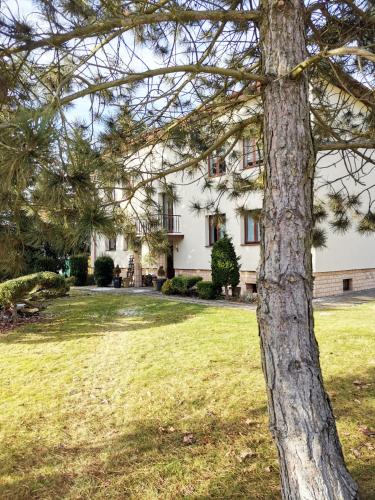 . Ohotelik Pensjonat w Poniatowej