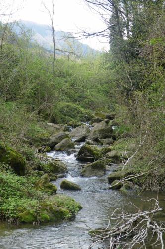 Allotjaments Colomer-Cullell - image 10