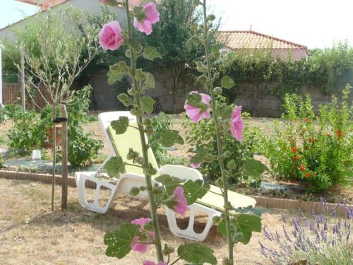 Chambre d'hôte Fleur de Potager - Chambre d'hôtes - Les Sables-d'Olonne