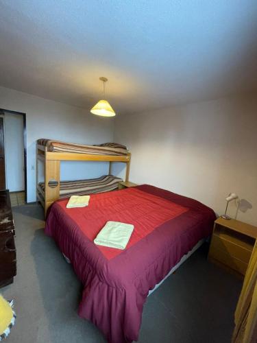 Departamento Valle Las Leñas (Departamento Valle Las Lenas) in 拉斯雷納斯