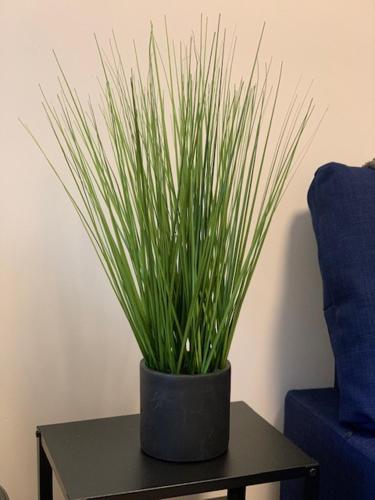 Spacious and central 4-bedroom house with parking in Perry Common