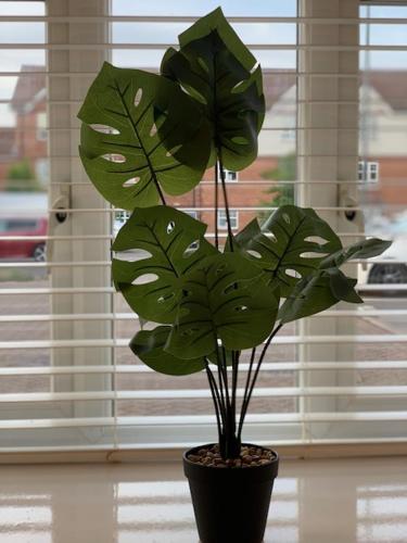 Spacious and central 4-bedroom house with parking in Perry Common